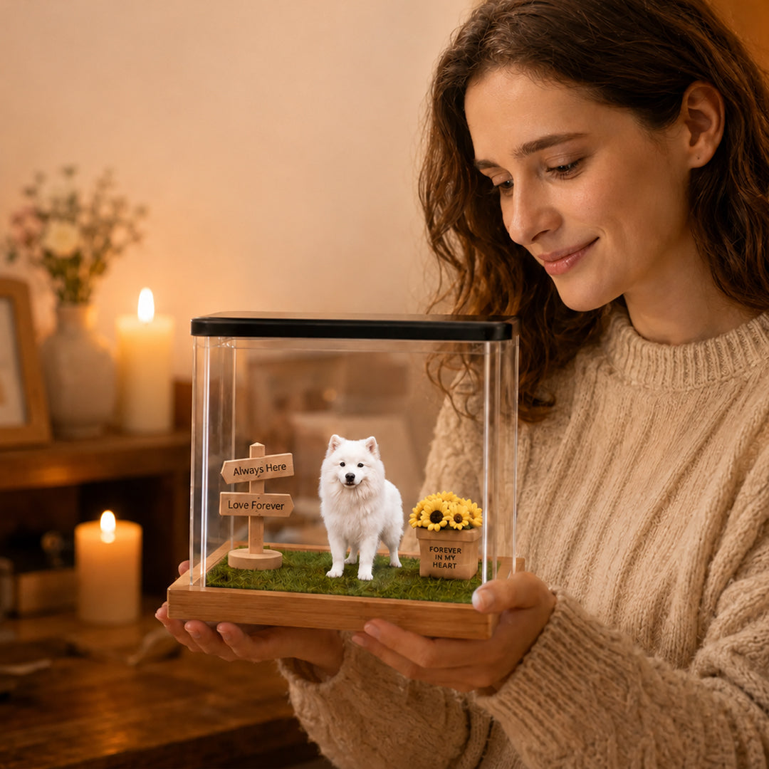 Velocitytoys™ - Custom Pet Holographic Memorial Box