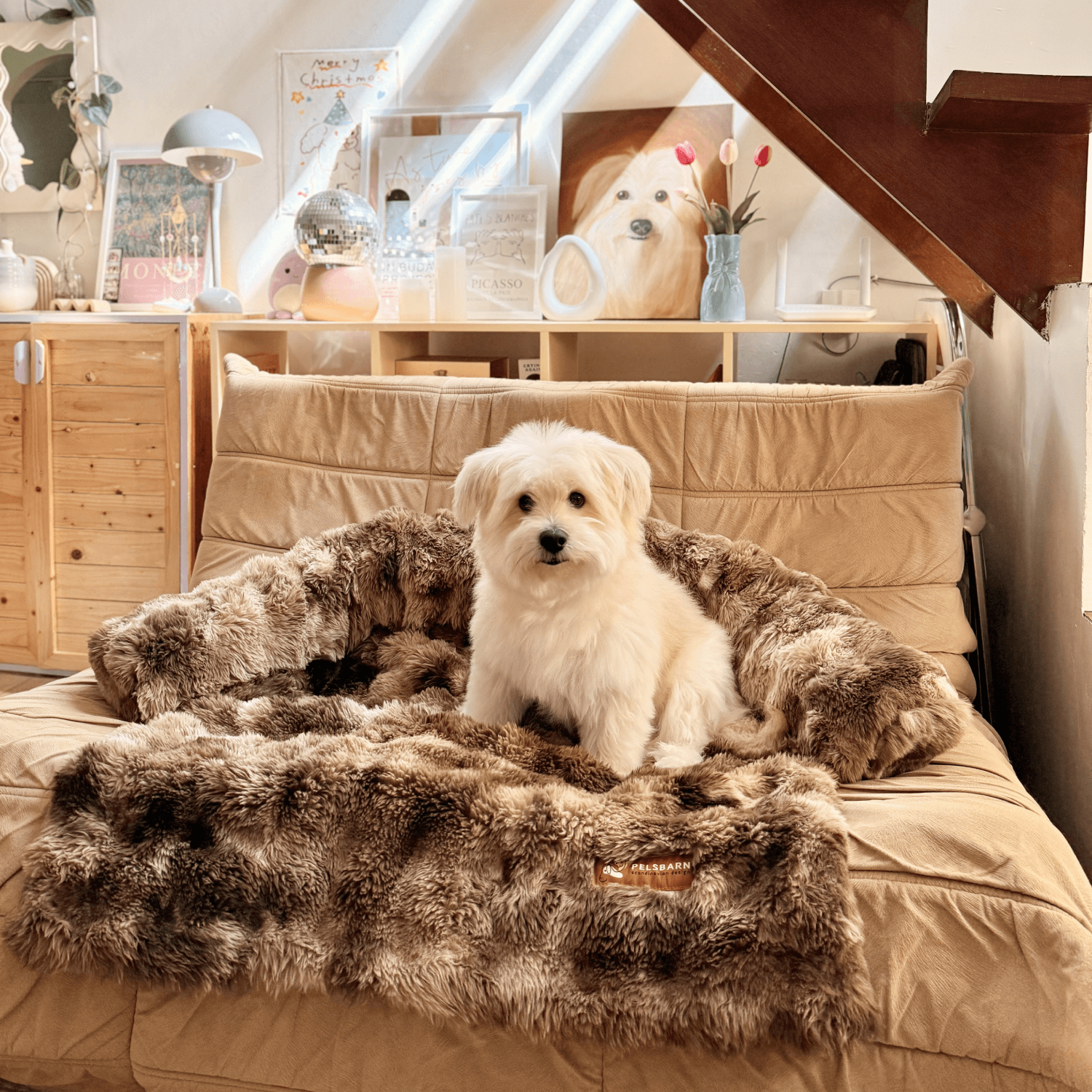 Velocitytoys™– Luxurious Sofa Bed