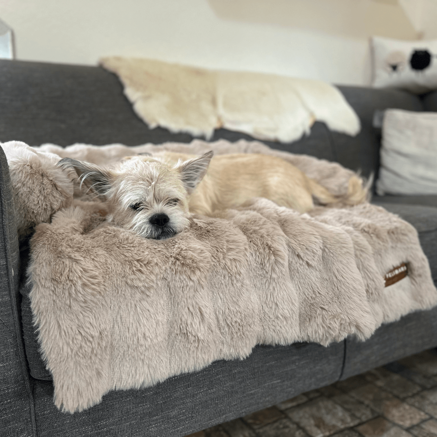 Velocitytoys™– Luxurious Sofa Bed