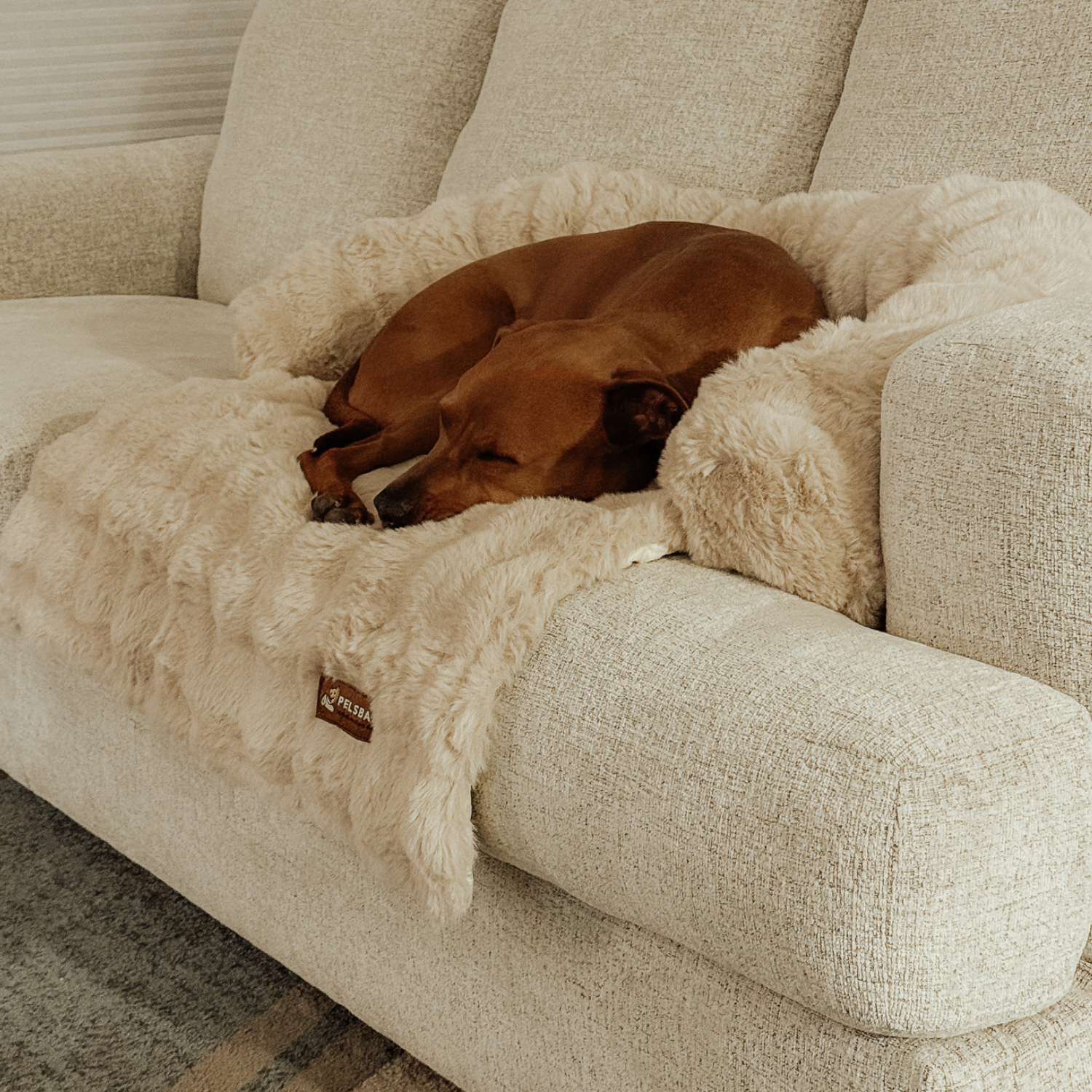 Velocitytoys™–  Luxurious Sofa Bed