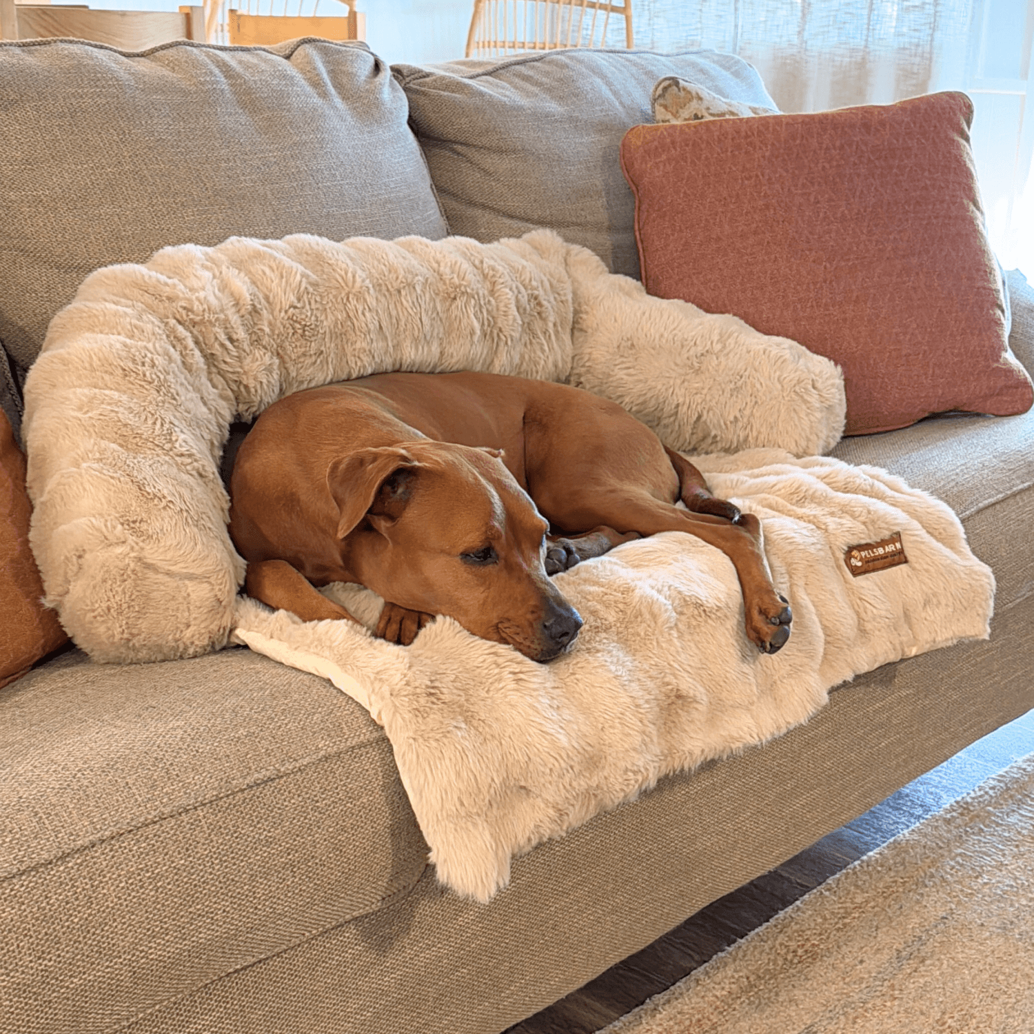 Velocitytoys™–  Luxurious Sofa Bed