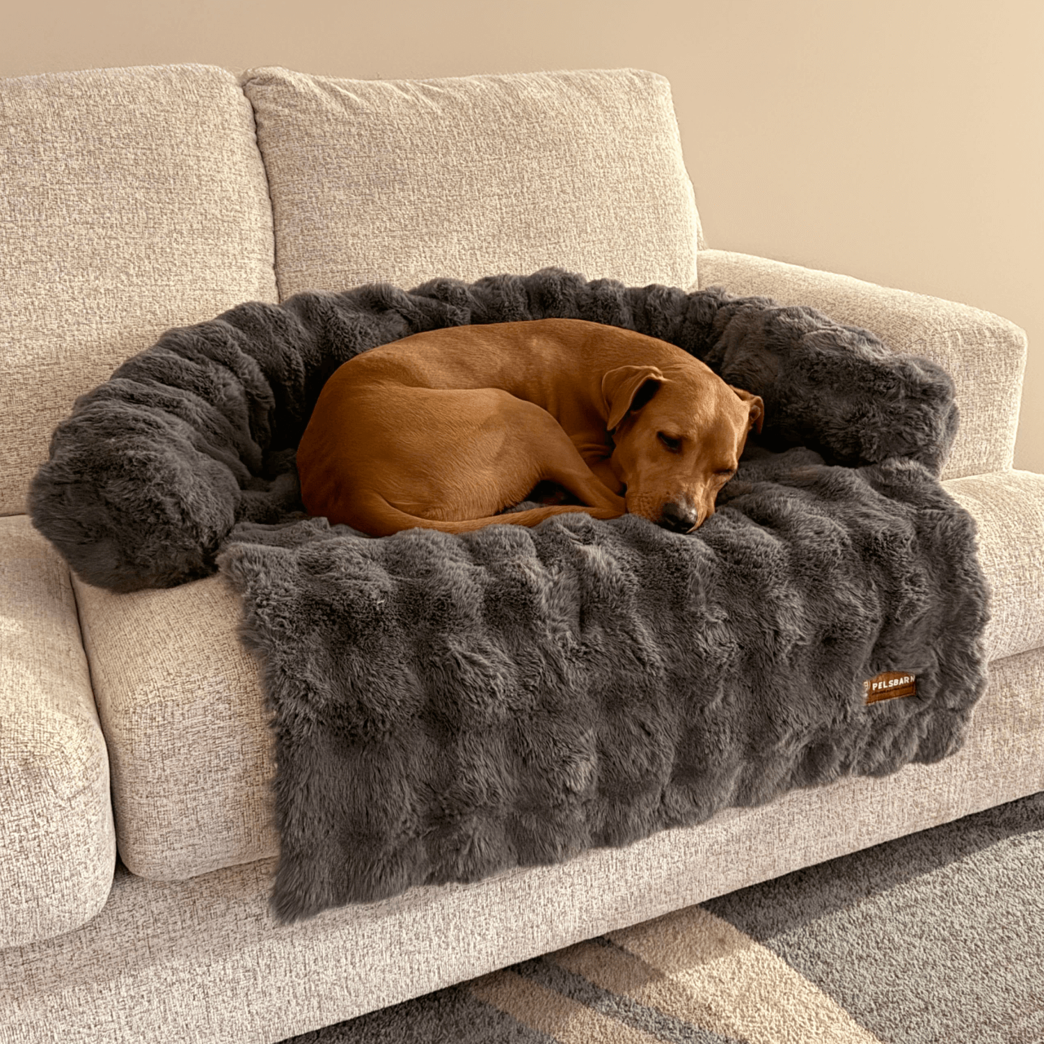 Velocitytoys™–  Luxurious Sofa Bed